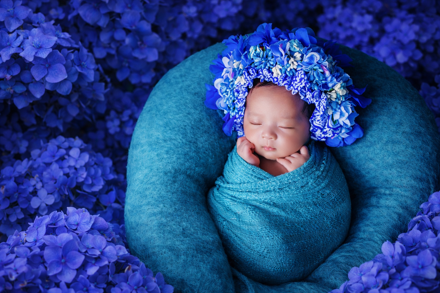 New Baby flowers in Clarksburg, WV | Donna Flora – Local Flower