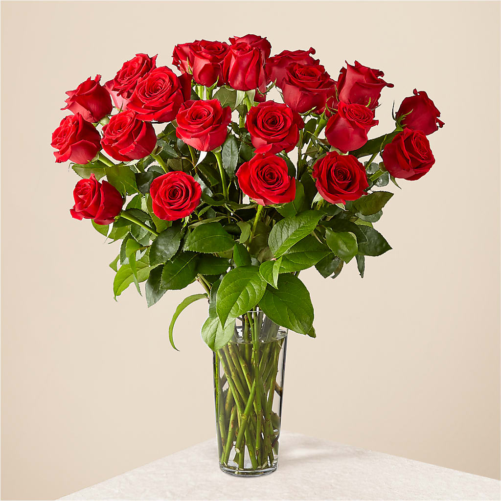 Long Stem Red Rose Bouquet – Donna Flora, Clarksburg WV