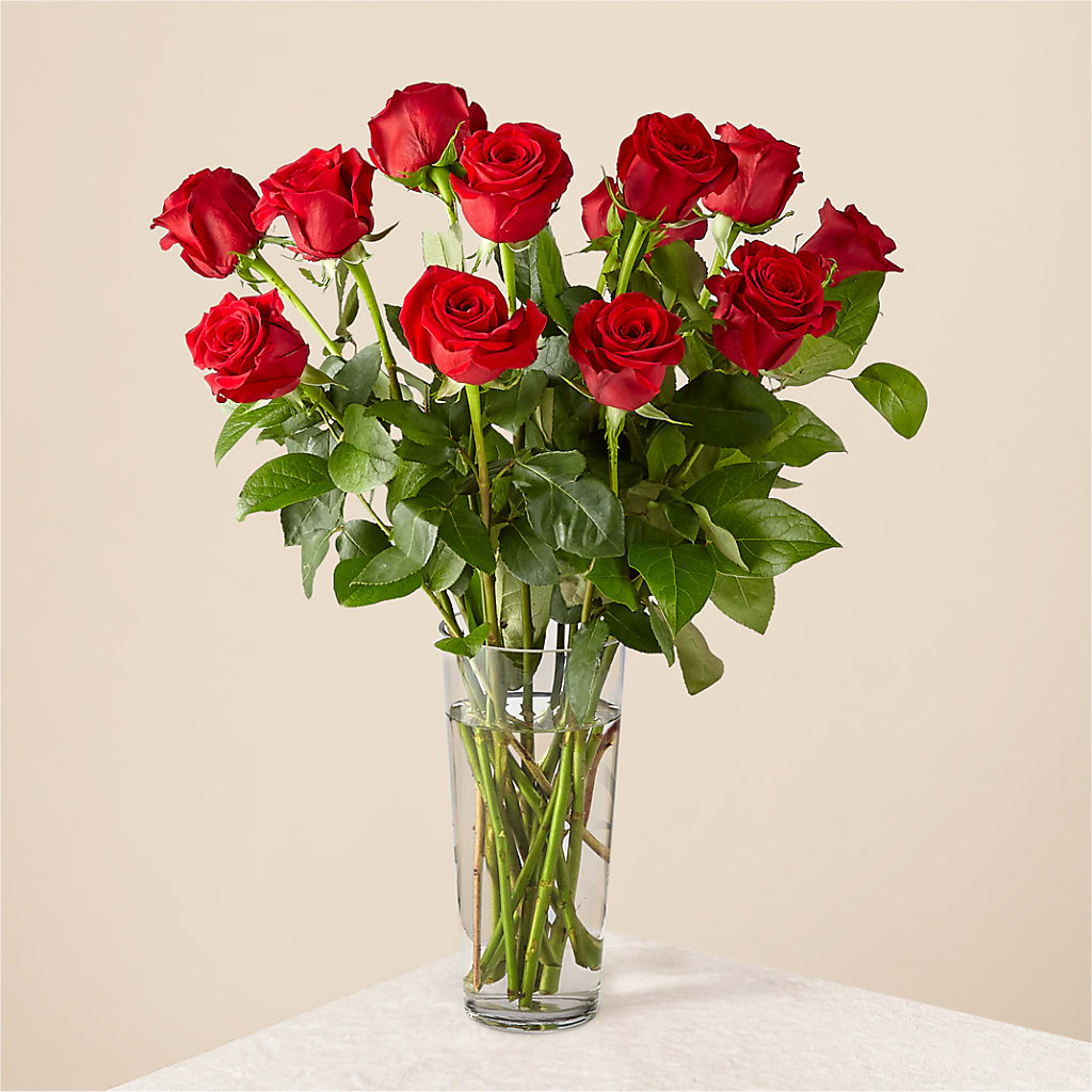 Long Stem Red Rose Bouquet – Donna Flora, Clarksburg WV