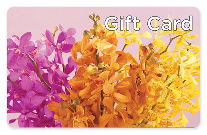 Gift Card –  Donna Flora, Clarksburg WV